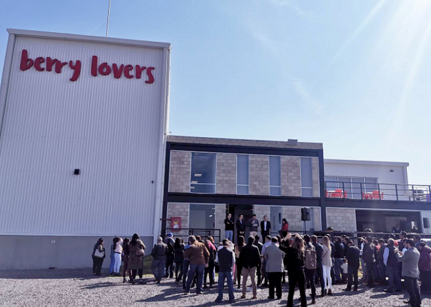 Produce Lovers opens blueberry facility