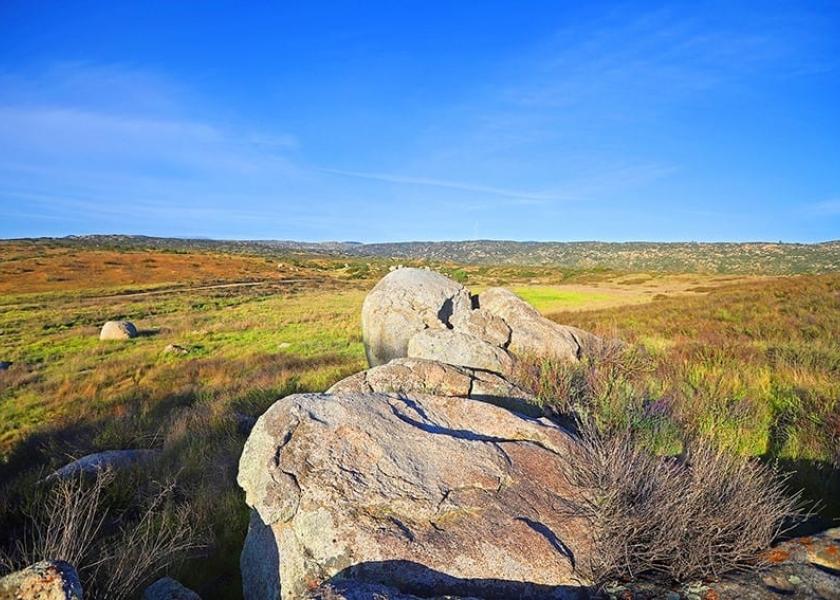 The Duke’s former 2,000 acre ranch outside Los Angeles is being touted for its potential as a cattle grazing operation and a marijuana farm.