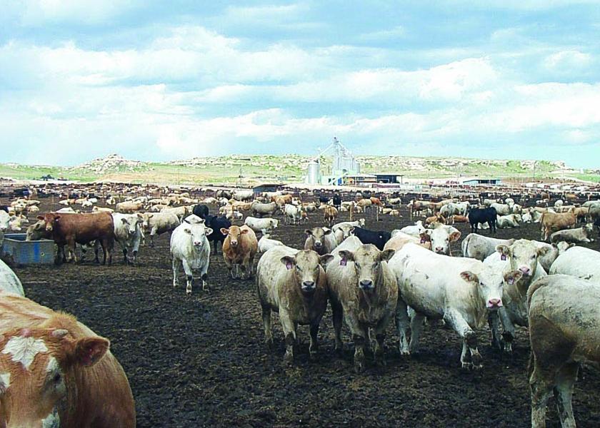 Proposed legislation would ban CAFOs.