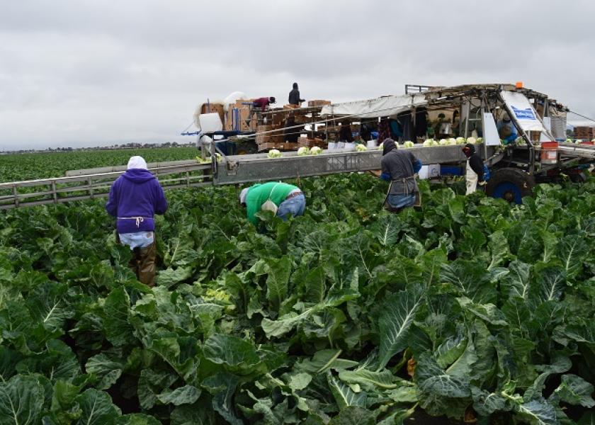 A new survey reports many California growers are having trouble finding enough workers.