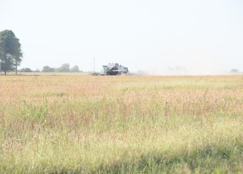 Minnesota Crop Yields Enhanced by Climate Change Ag