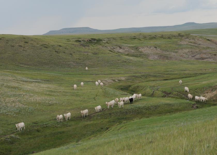 Most of cattle country has had abundant to excessive moisture this year—as evident from my travels from Oklahoma to Montana. 