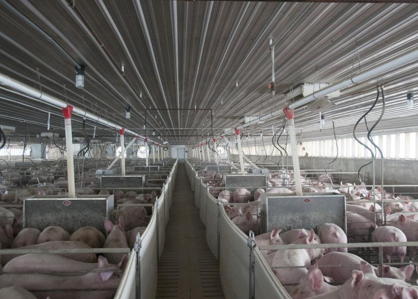 EPA Approves Intervention Disinfectants to Fight African Swine Fever