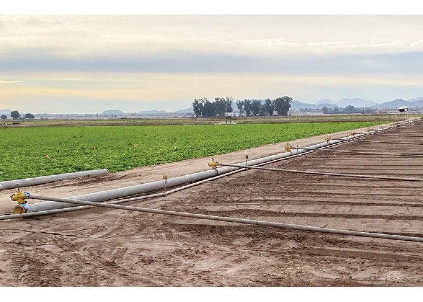 The California LGMA has a new subcommittee focused on possible food safety issues from lands adjacent to Concentrated Animal Feeding Operations.