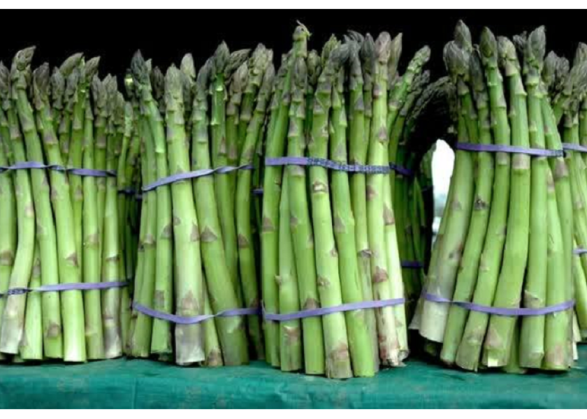 Asparagus season in Michigan starts, peak hits Memorial Day The Packer