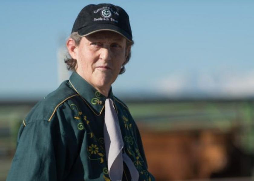 Temple Grandin, a professor of animal science at Colorado State University, is a world-renowned consultant for the livestock and meat industries, advising on humane and low-stress handling of livestock. 