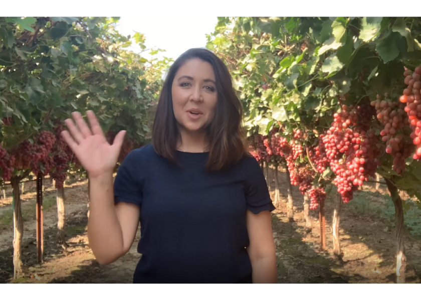 California grape harvest continues into December
