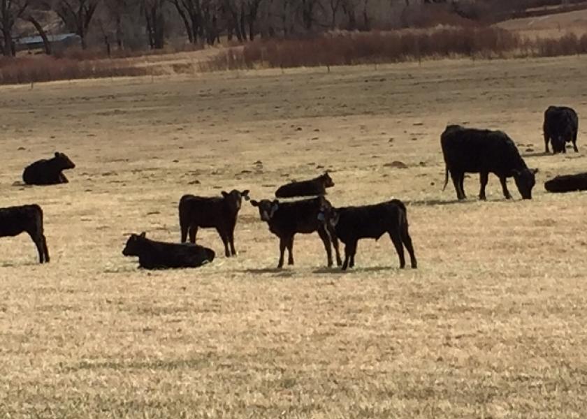 Parasite infection and tolerance also can vary significantly between individual animals on the same pastures, suggesting genetic selection could provide a non-drug tool for minimizing parasite-related losses. 