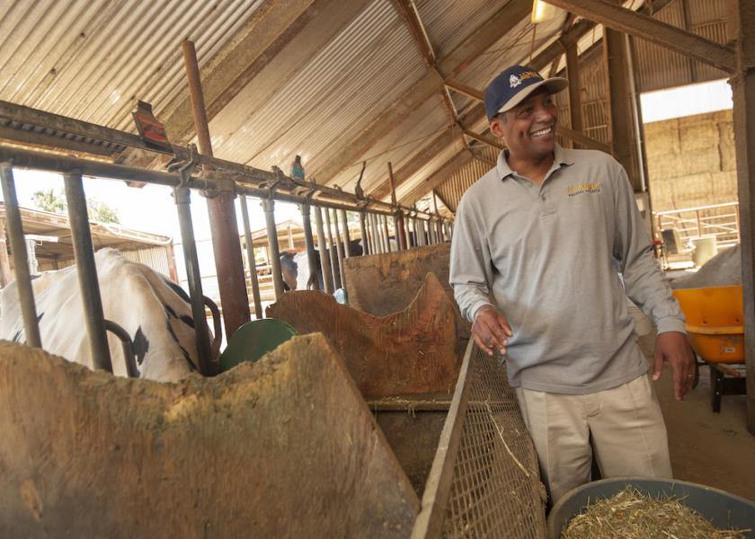 Professor Ermias Kebreab with the UC Davis Department of Animal Science is conducting research with dairy cows to find out if seaweed will reduce methane emissions from cattle. Results are promising, but not final.