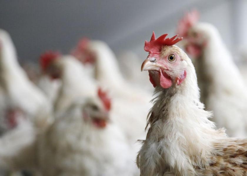 Walmart, America’s largest retail grocer, has filed suit against various U.S. poultry companies alleging a conspiracy to inflate chicken prices. 