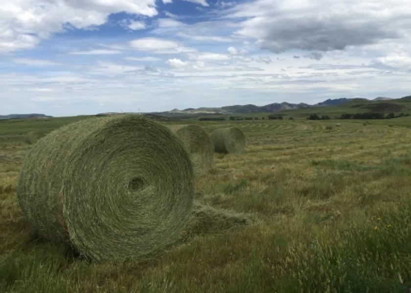 A series of studies and reports have drawn attention to maldistributions in the veterinary workforce leaving some communities, especially rural areas, with insufficient access to food supply veterinary services.