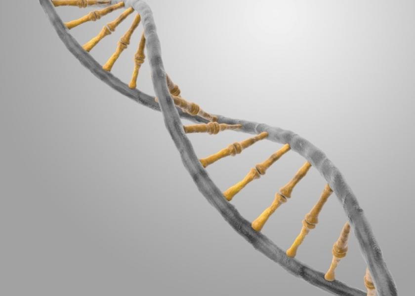 CRISPR Bacon: Genetically Modified Low-Fat Pigs