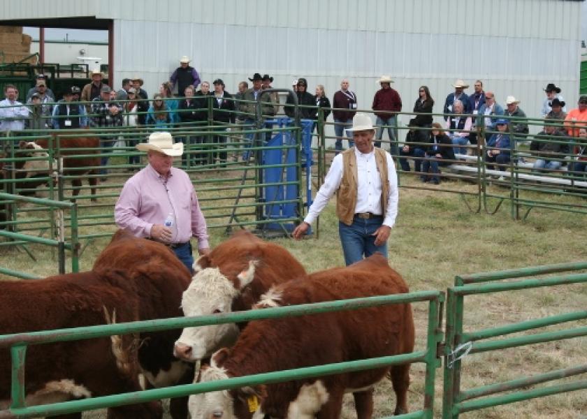 Stockmanship experts Ron Gill (left) and Curt Pate demonstrate cattle-handling techniques during a 2017 workshop. 