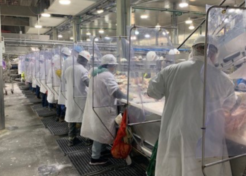 Beef packing plant workers