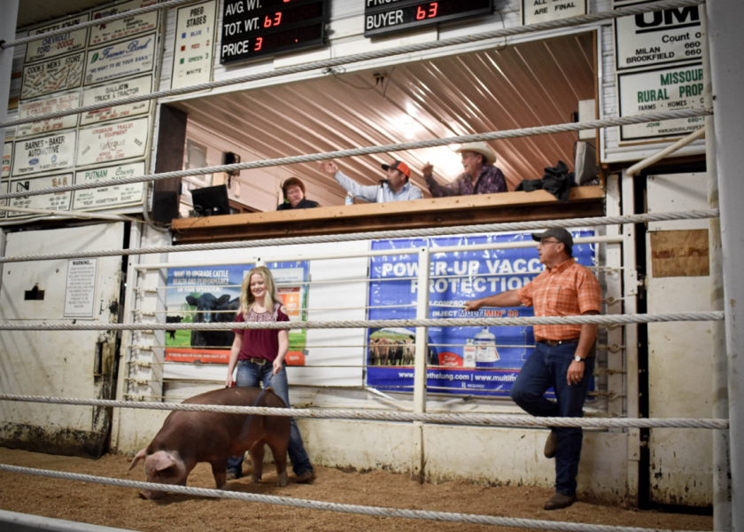 Sullivan County 4-H and FFA Youth Livestock Sale on Sept. 21, 2020, Milan, MO.