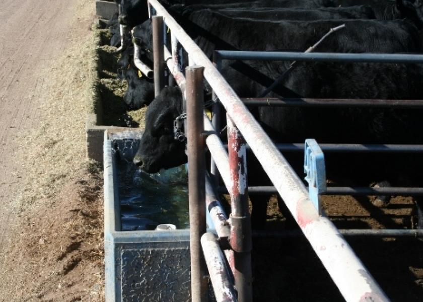 USDA released some clarification as to where cattle fit in each category.