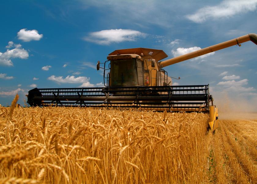 Winter Wheat Production Up 1 Percent from June Durum Wheat Production Down 25 Percent from 2018 Other Spring Wheat Production Down 8 Percent from 2018 Orange Production Up 1 Percent from June