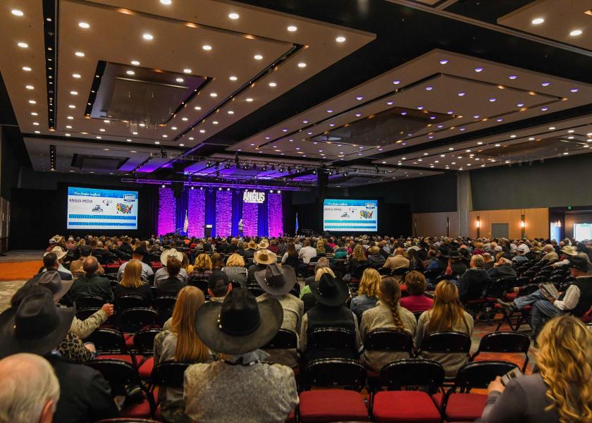 Hinrichsen was crowned during the 2019 Angus Convention