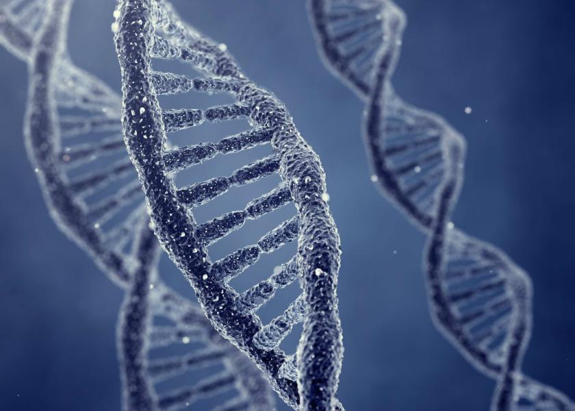 If the industry could put together all the best parts of the genome, significant production increases could be made.