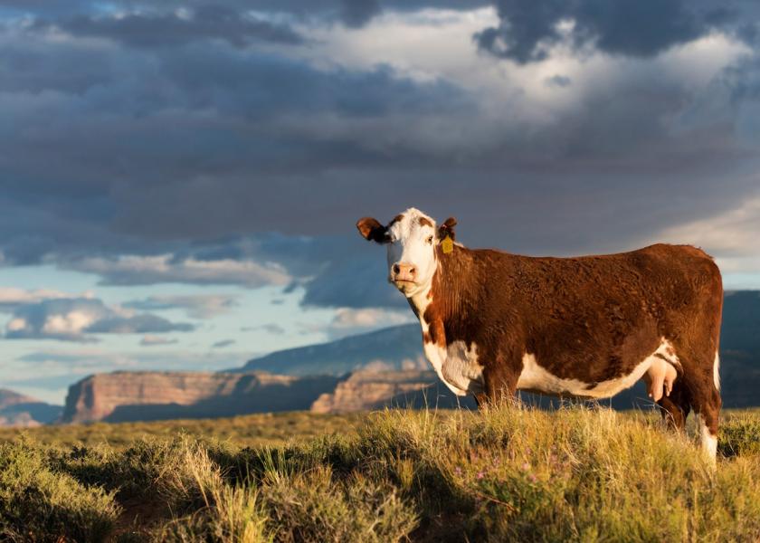 The long-range strategic planning process for beef is underway.