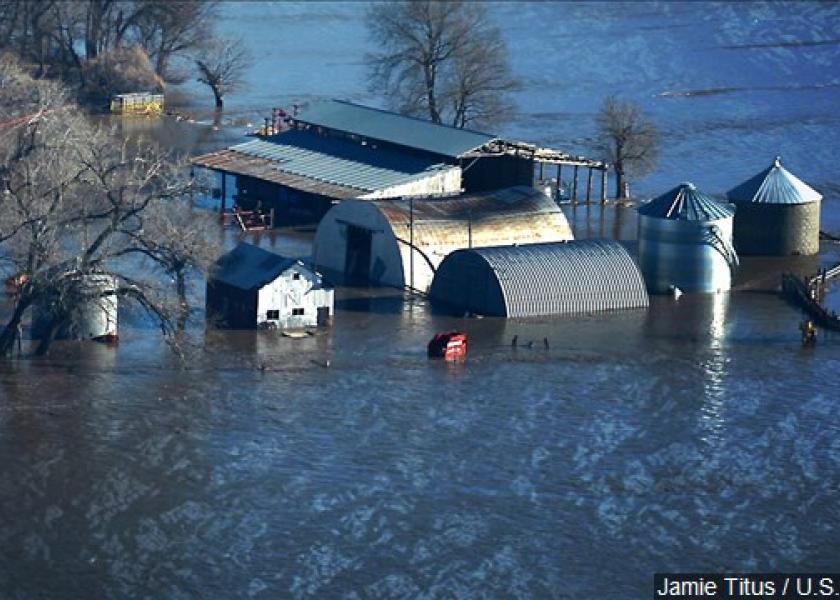 Flooded Grain in Storage Not Eligible for Current Disaster Aid Programs