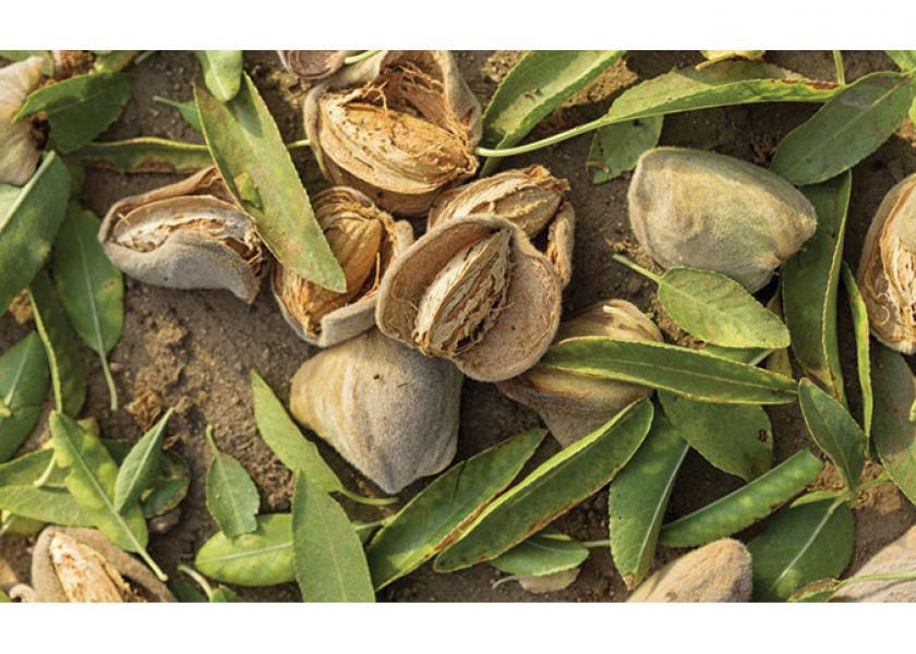 This year’s almond crop already has set a record, says Richard Waycott, president and CEO of the Almond Board of California. The state’s 7,600 almond growers will produce up to 2.5 billion pounds of almonds on 1.2 million bearing acres.