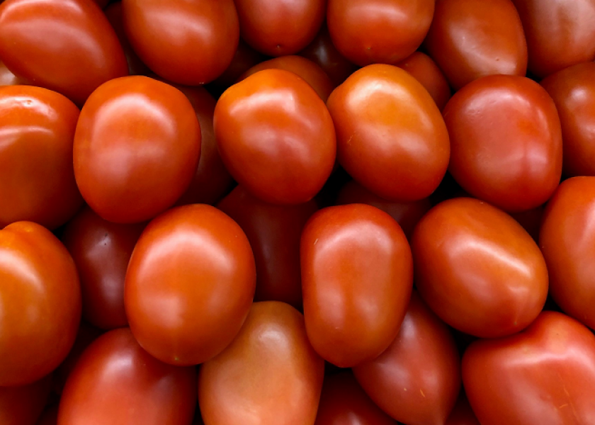 New proposal seeks breakthrough for tomato suspension agreement