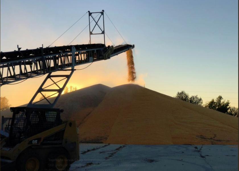 Grain Stocks Surprise, Acreage Report Underwhelms
