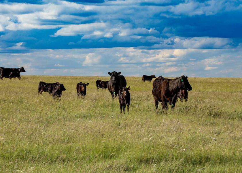 Range and pasture represent one-third of the continental U.S.