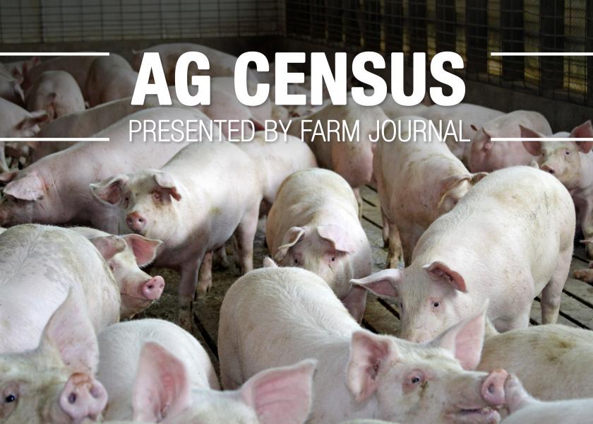 Keep reading for the top 10 pork-producing counties in the U.S., and more from the Census of Agriculture. 