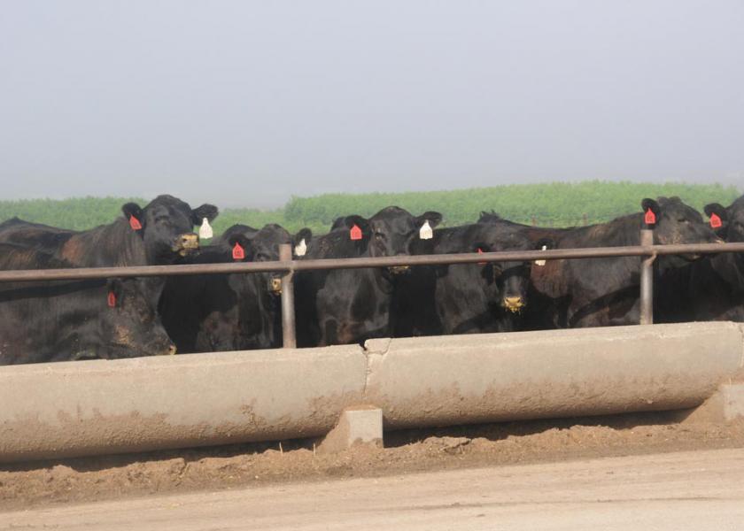 CAB Insider: Weather, Heifers Drive Lower Weights
