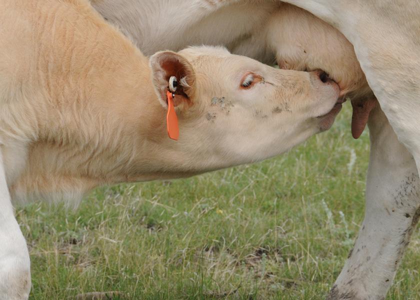 Share with us the timing of your primary calving season, whether it’s a tight 60-day window or a seasonal timeframe. We'll report the results back to you. 