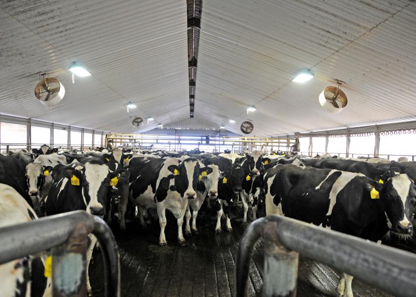 Land O Lakes Mars Wrigley Partner On Dairy Farm Emissions Project Dairy Herd