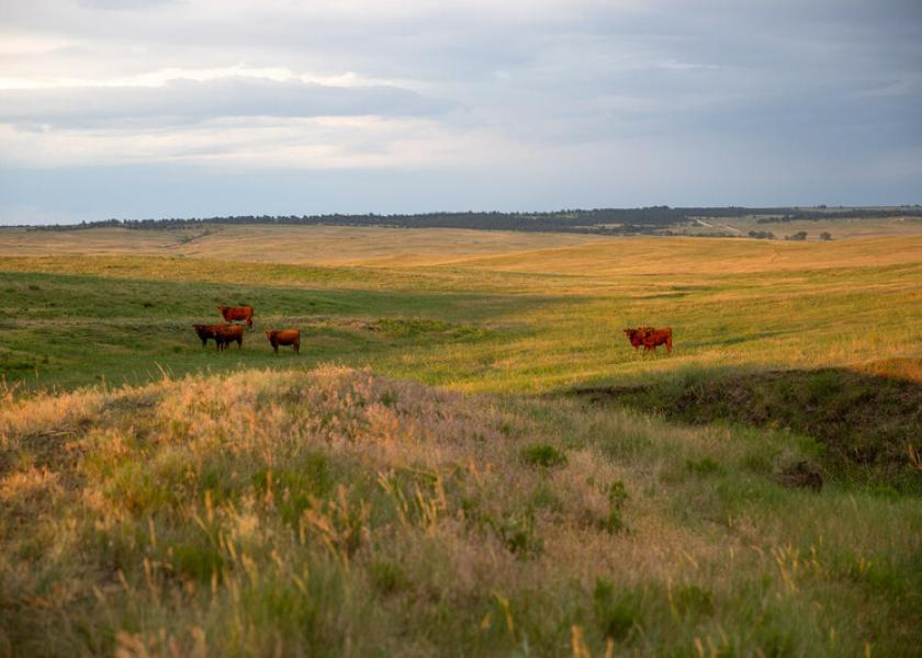 Colorado ranch