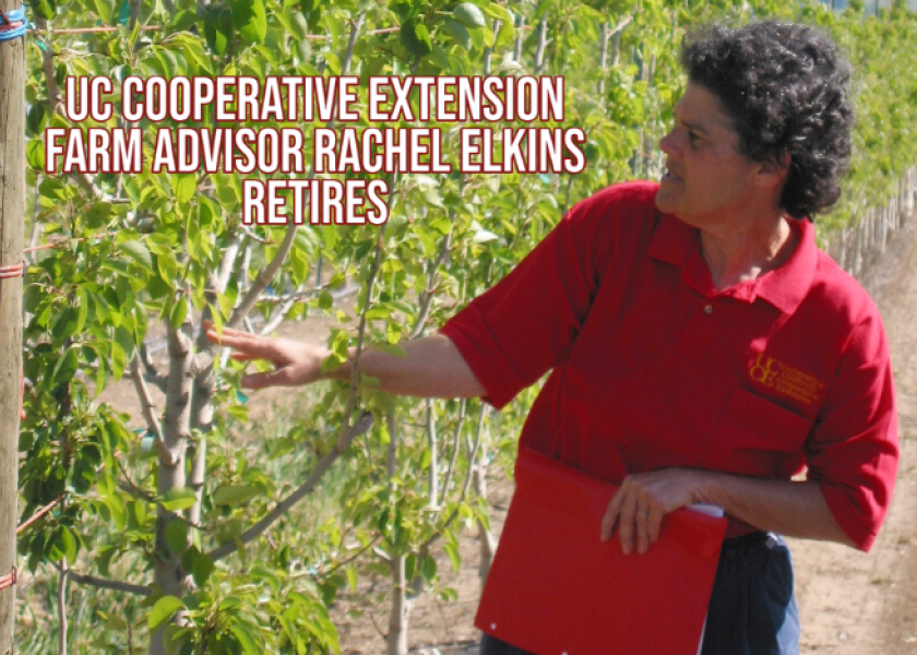 Pear expert Rachel Elkins retires from 33-year career