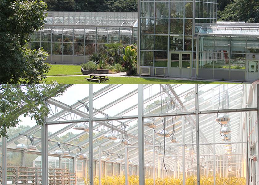 Verdesian Opens Greenhouse At Duke University