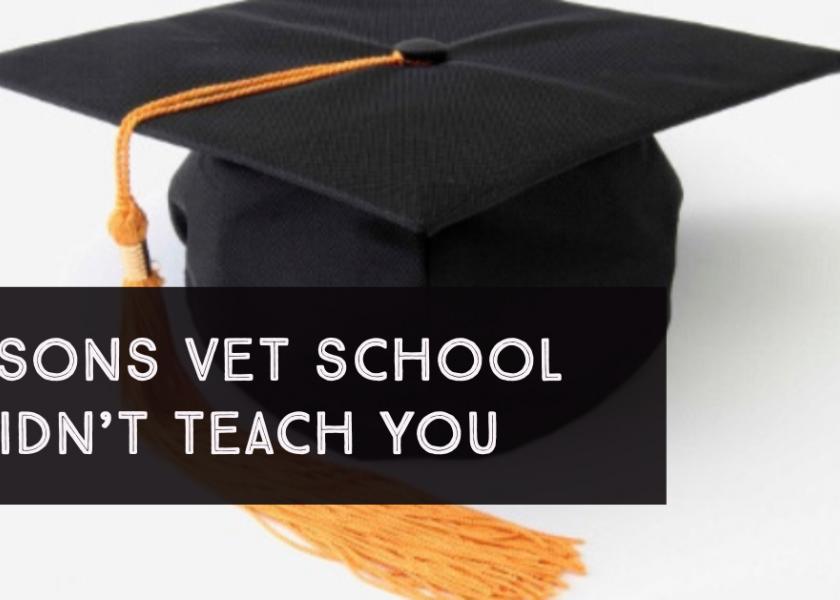 If you could design the vet school curriculum, what classes would you add? 