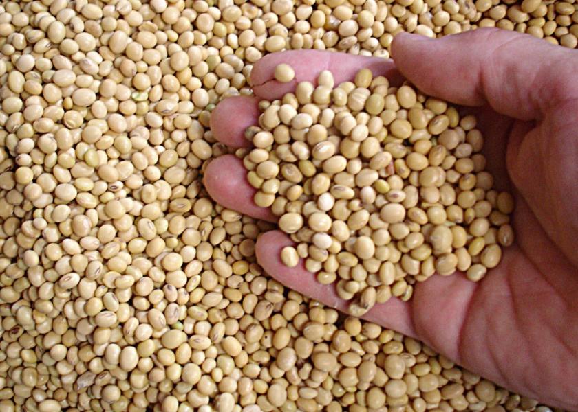 Cme soybeans deals