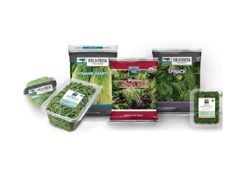 Field Fresh Farms rebrands as it into retail The Packer