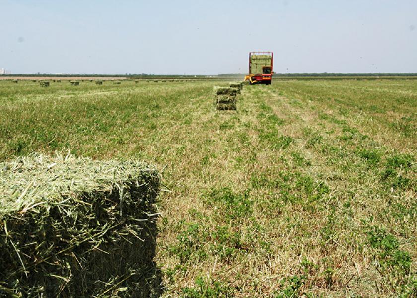 Lower hay supplies and to potential for lower acres and lower production this year could increase hay prices significantly. However, there is much more to profitability than just income over feed. 