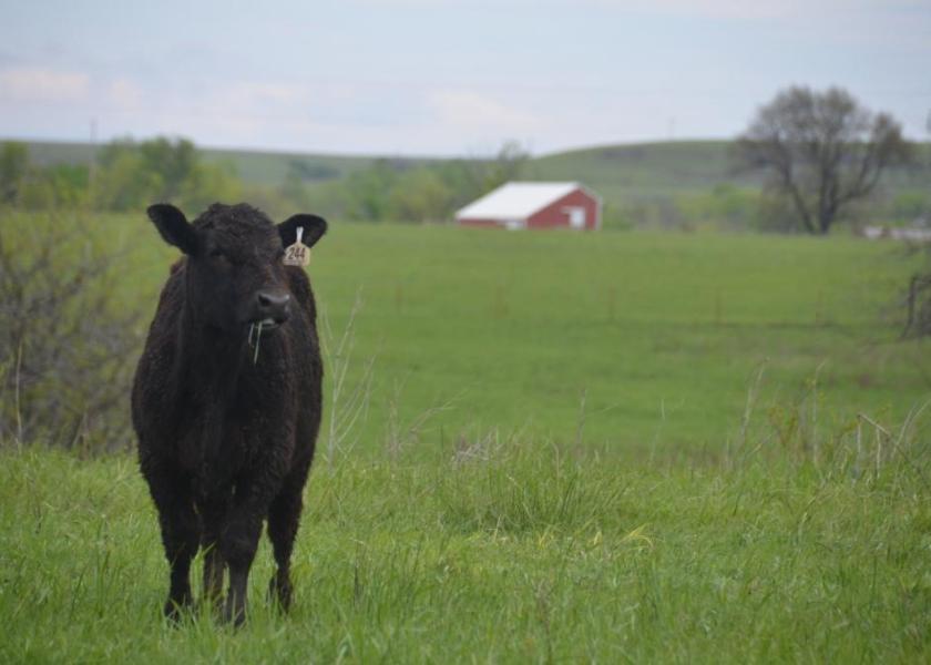 Extending the Grazing Season