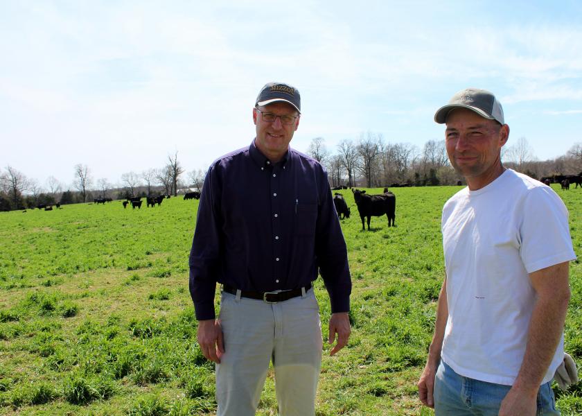Missouri Farmers and Ranchers Warming up to Warm-Season Grasses