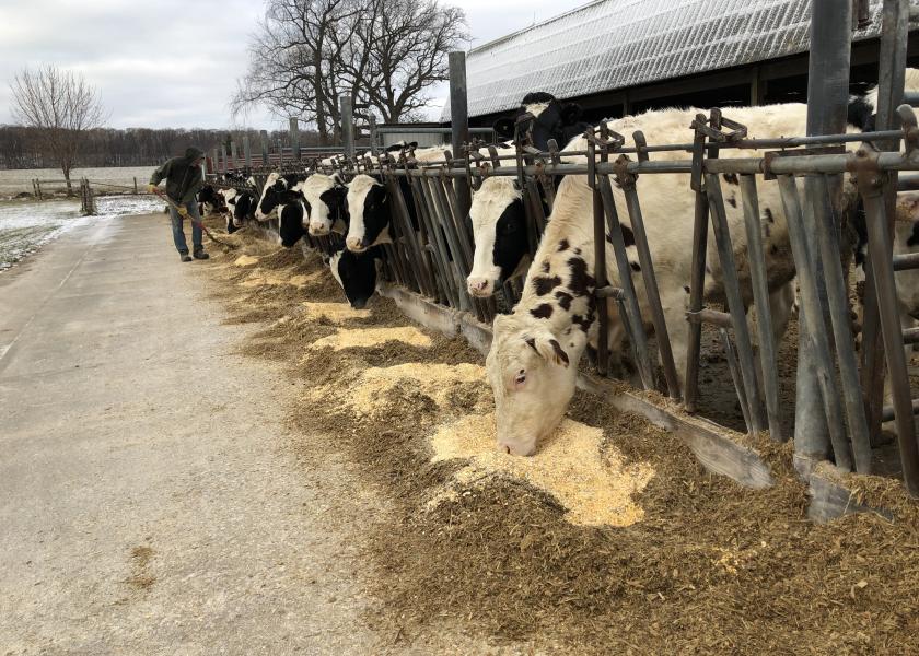 Dairy Beef Quality Assurance Training 24/7, Online Dairy Herd