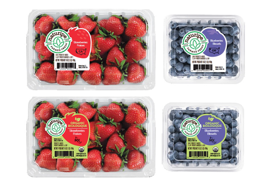 With rebrand, Naturipe turns focus to millenials and Gen Z | The Packer