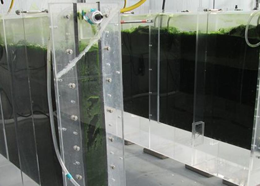 ZIVO Bioscience, Inc. investigates the health and nutritional benefits of bioactive compounds derived from its proprietary algal cultures.