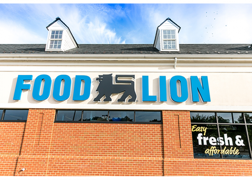 Food Lion to purchase 62 Bi-Lo, Harveys stores