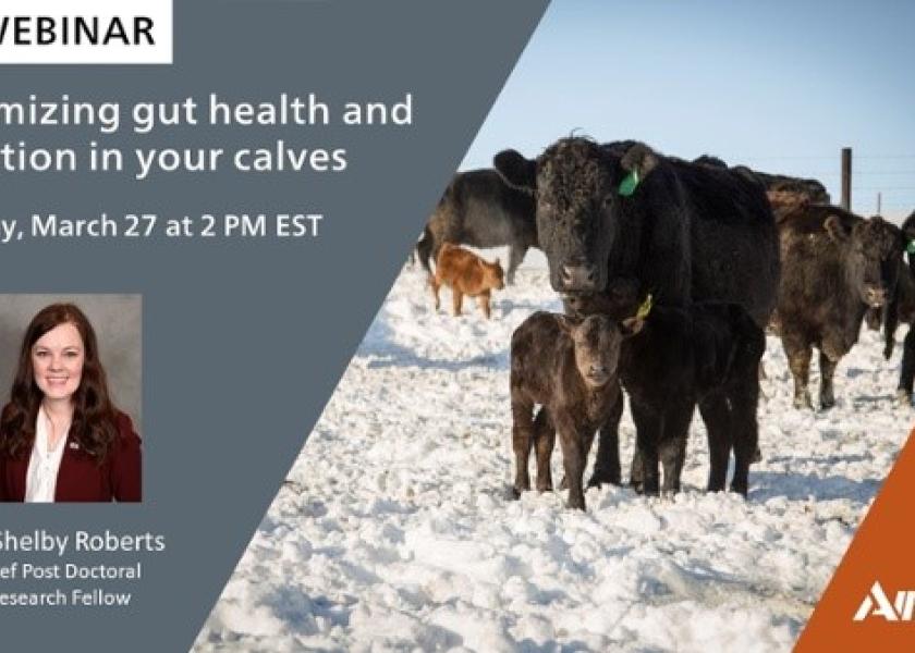 The webinar takes place on March 27 at 2:00 PM Eastern.