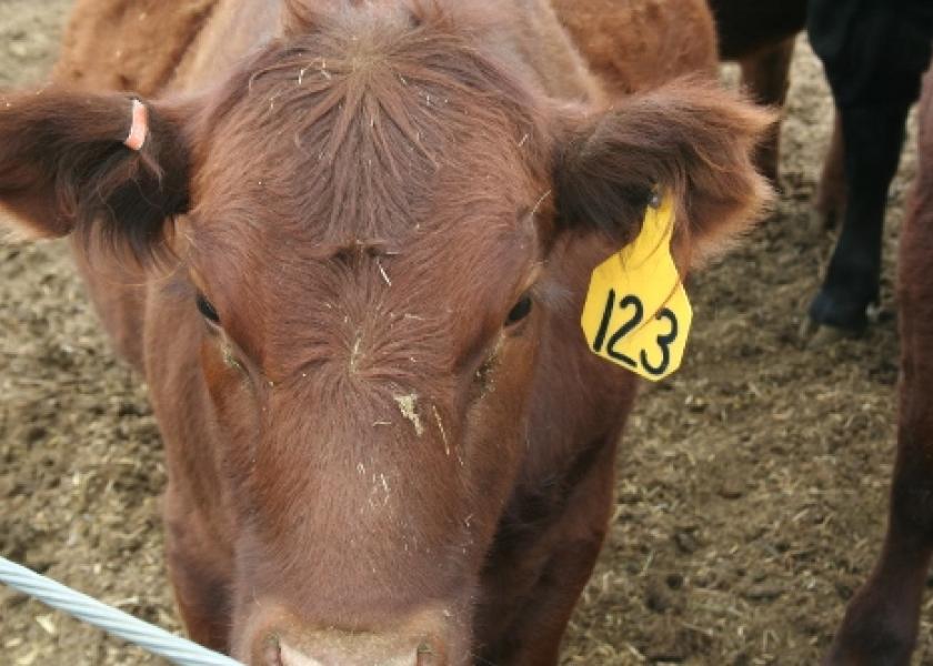 USDA will phase out free metal tags for official ID, and initiate a cost-sharing program for radio-frequency tgs.