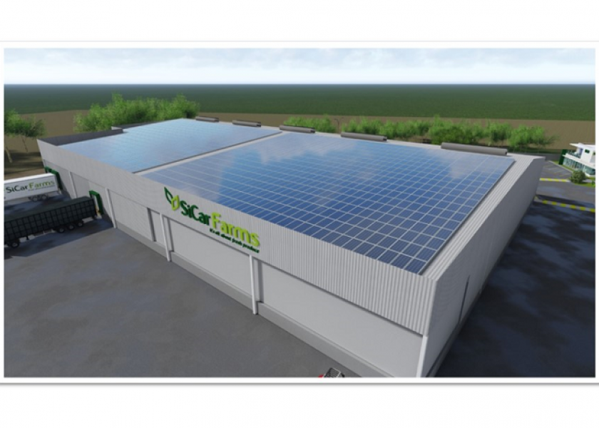   Sicar Farms' new McAllen, Texas, distribution center.