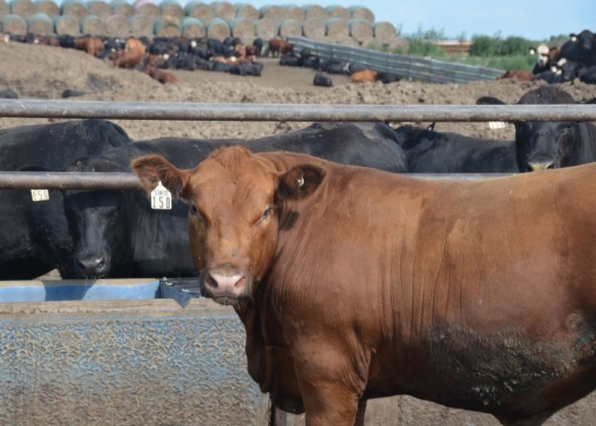 BT_Feedlot_Cattle_Hay_Stack_Water_Tank